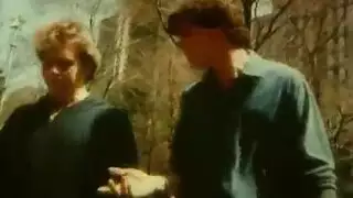 جنس العصر الذهبي الفرنسي: حيث تلتقي نسمات الصيف بالأنين