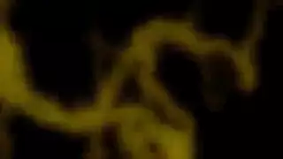 ئاۋىستىرالىيە