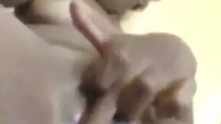 أفلام سودانية إباحية عنيفة: بنات نيالا يتم تفحيطهن