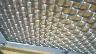جنس جماعي صريح للعفر في الصحراء