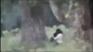 رومانسي بنات جامعة