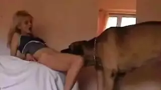 سيكسي الحصان ينيك الفتات
