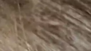 خيال جنس جماعي في الفناء الخلفي مع شاب ملتحي وامرأة ناضجة