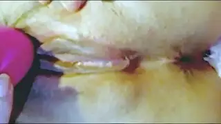 شرج الديك الكبير جرعة