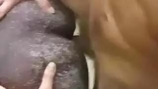 جلسة جماع عنيفة للزوجين مهبل، شرج، مص