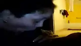 زينحي