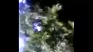 غنتيل تامجله