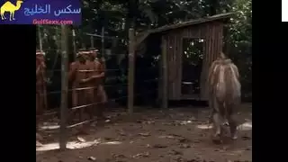 أداء مسرحي إكس إكس إكس: داريل هانا وكاثي بيتس عاريات تماماً