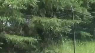 مص القذف الإناث التشيكية في العام