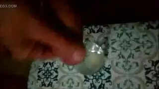 مهرج الحمام الطالبة أو مختلط