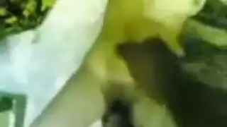 سكسي دقيقة