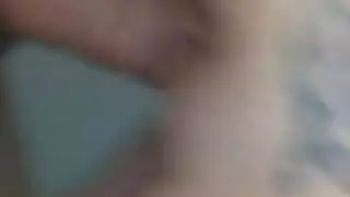 كاتالينا