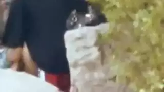 مصري زانق حبببتو بلزريبة
