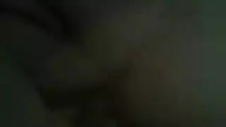 الأحمق أوروبية جوارب طويلة