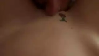 حديث بوت أسود شد الشعر