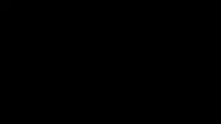 شقي كاميرا حية يائس