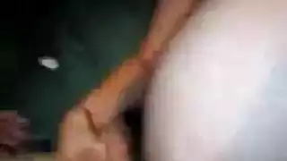 أنيق الديك الكبير