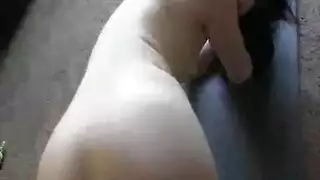 عم الكلبات