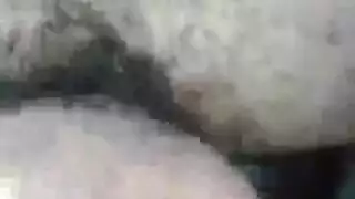 الهرة مشعر شهوة الملابس المغايرة