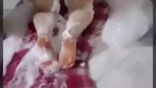 يحماها