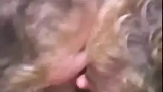 سكسي بنات صغار تبكي من الوجع