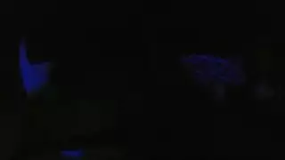 اغطصابيابانيات