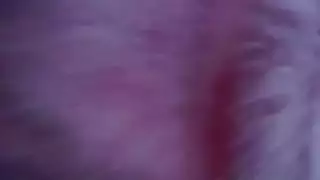ورلخز