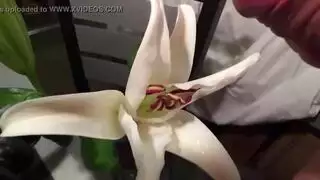 شقراء زلقة تتحكم في فعل جنسي صريح على طبعة الزهور