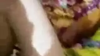سمور الجنس العامة ناضجة المعلم