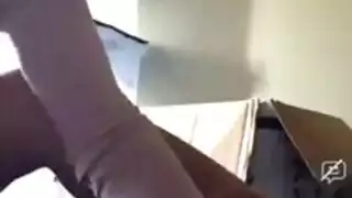 بوف برازيلي الديك الأسود