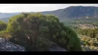 النص الأصلي: لديها الحمار جميلة وجذابة للغاية