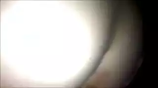 عبادة قضيب الحيوان مص قضبان الحيوانات في أفلام جنسية
